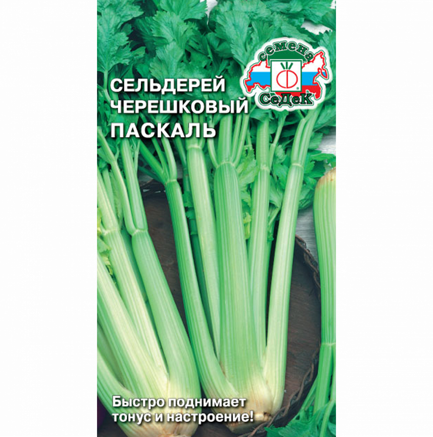 Сельдерей Паскаль