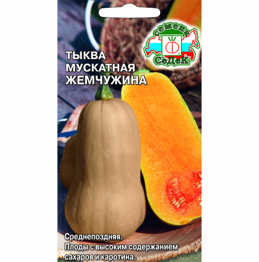 Тыква Жемчужина (мускатная)
