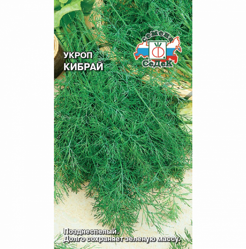 Укроп Кибрай