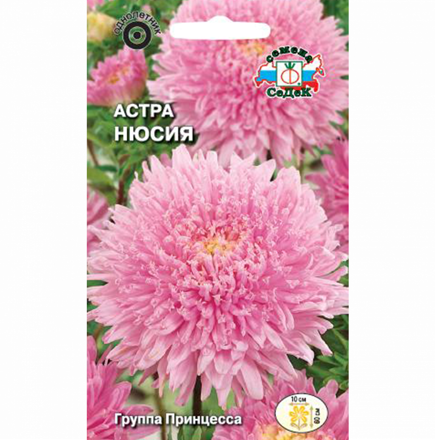 Астра Нюсия
