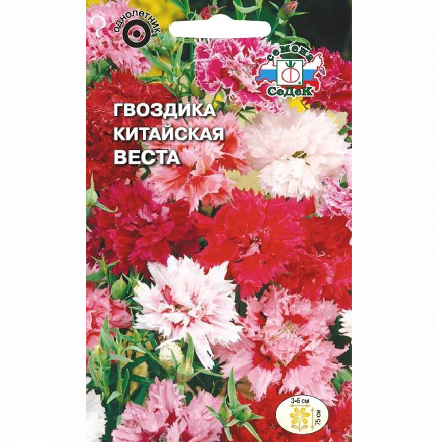 Гвоздика Веста