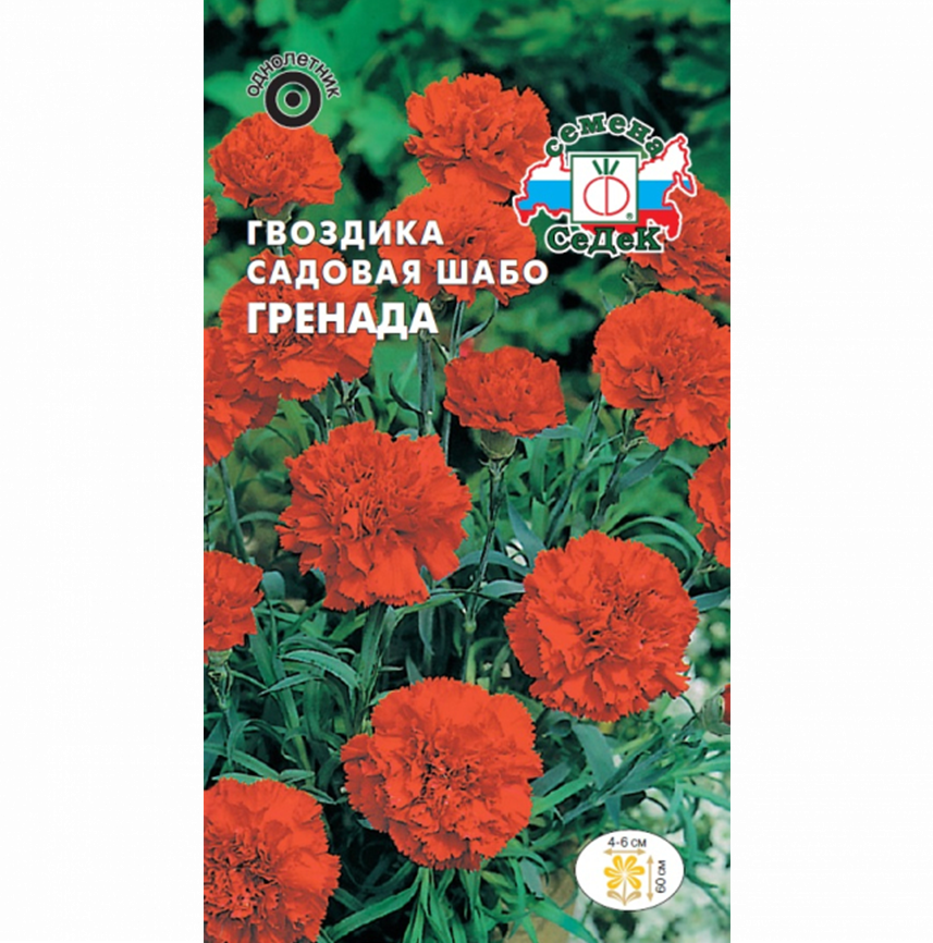 Гвоздика Гренада