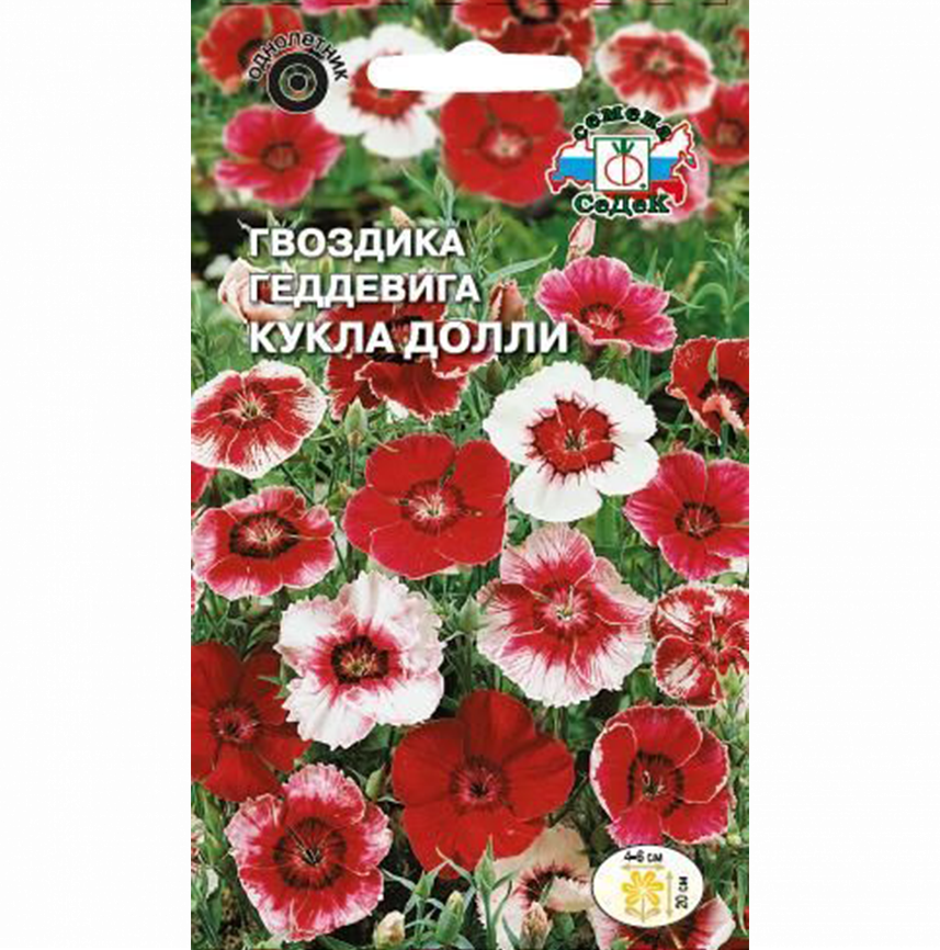 Гвоздика Кукла Долли