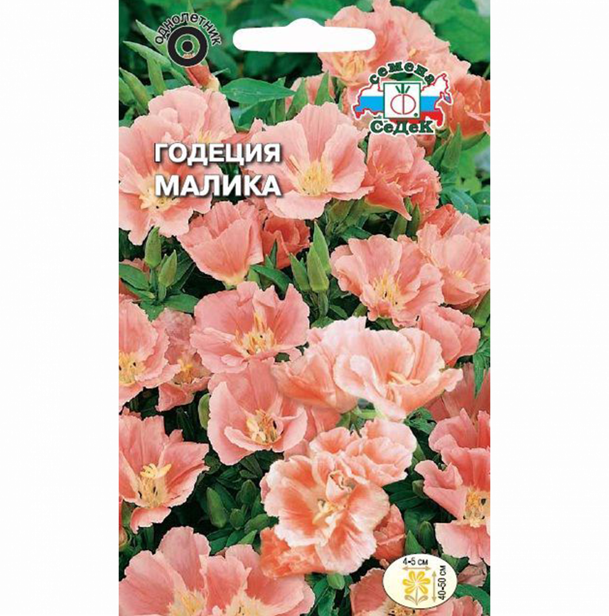 Годеция Малика