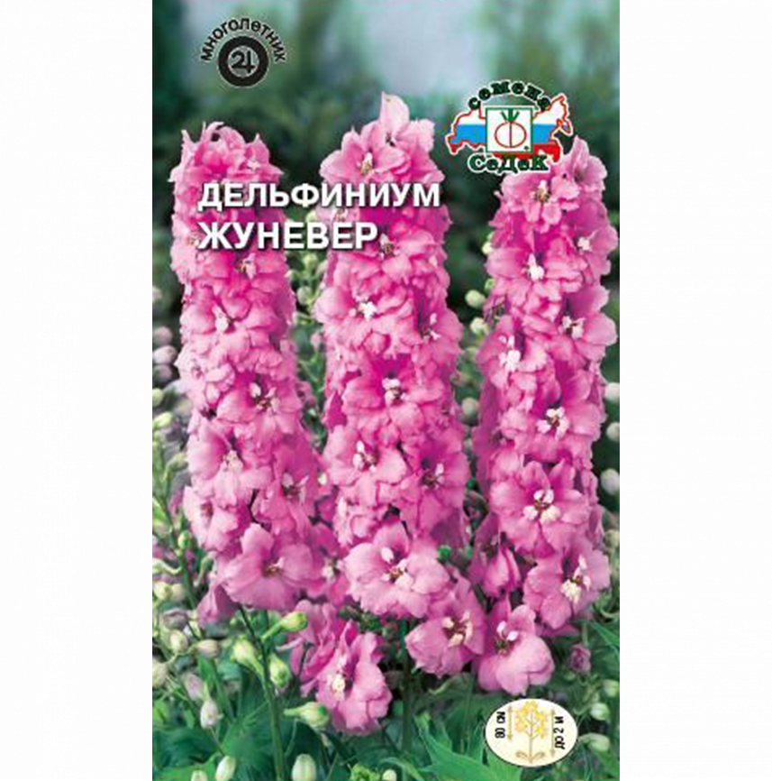 Дельфиниум Жуневер