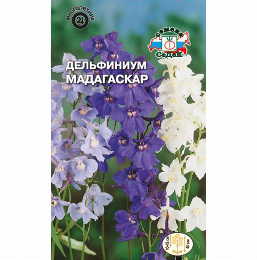 Дельфиниум Мадагаскар
