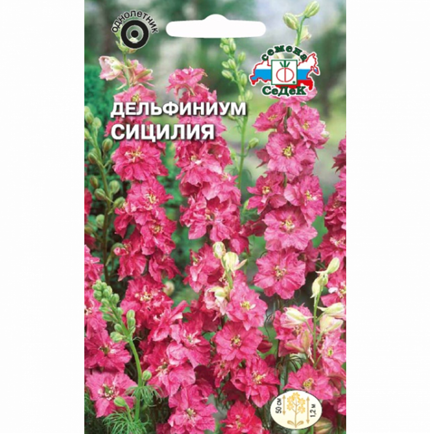 Дельфиниум Сицилия
