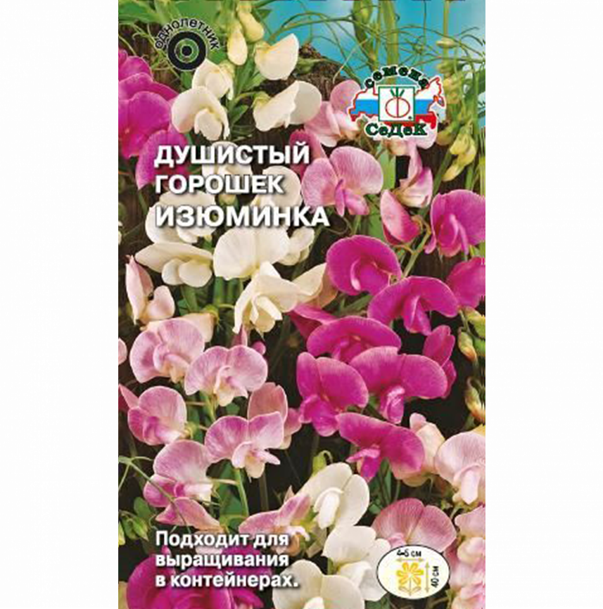 Душистый Горошек Изюминка