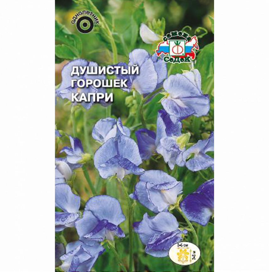 Душистый Горошек Капри