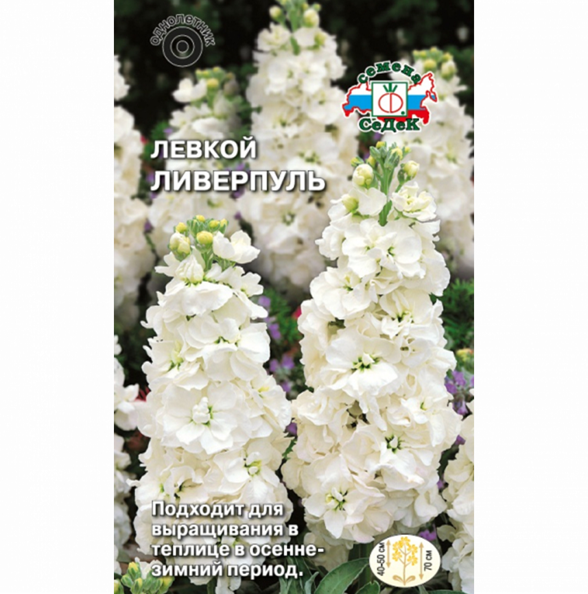 Левкой Ливерпуль