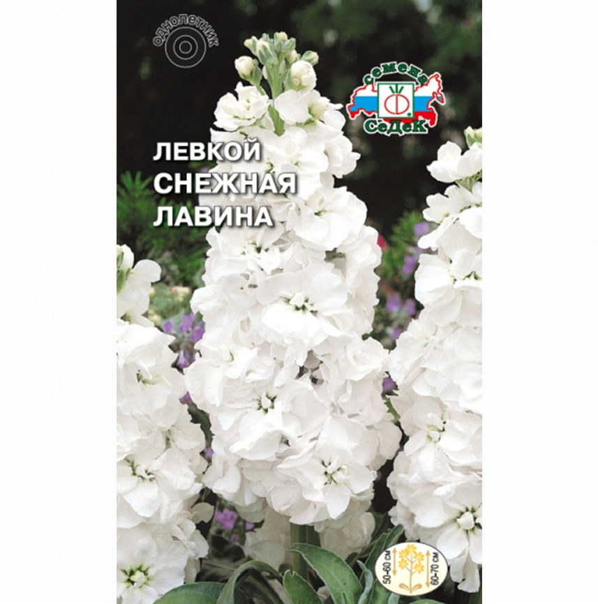 Левкой Снежная Лавина