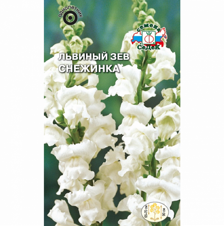 Львиный зев Снежинка