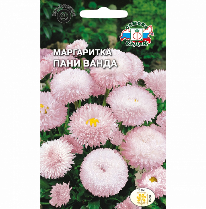 Маргаритка Пани Ванда