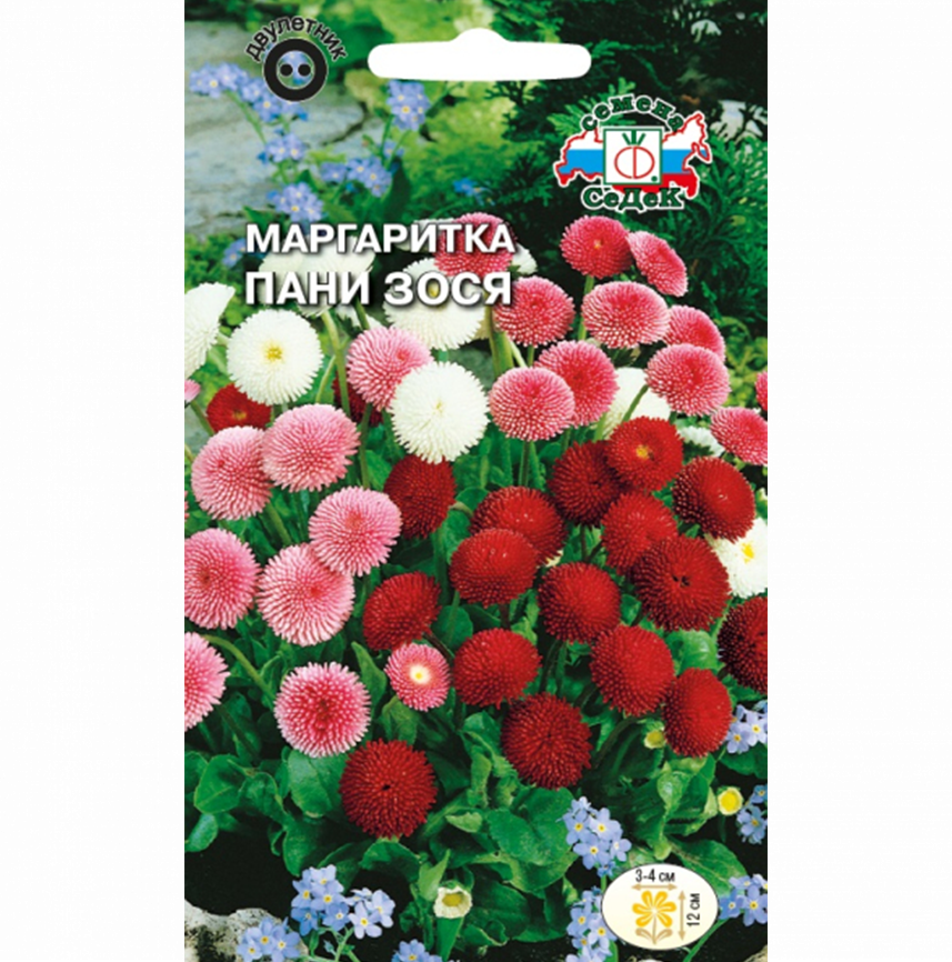 Маргаритка Пани Зося