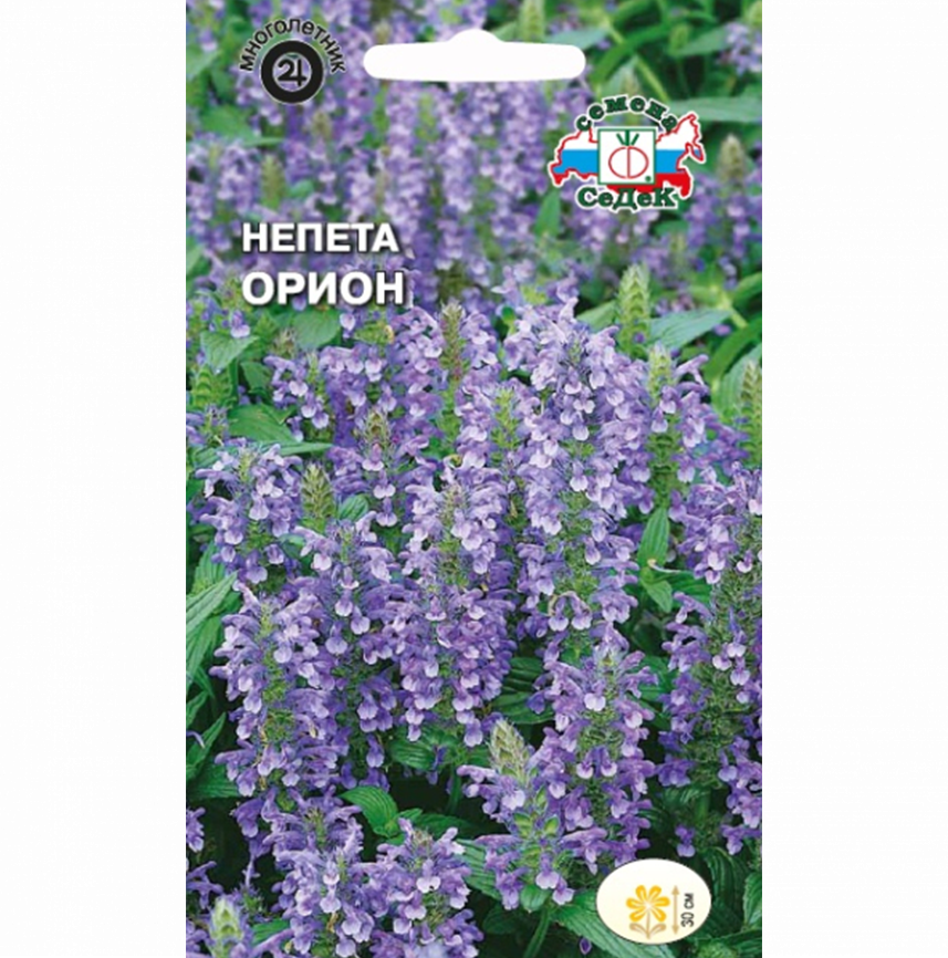 Непета Орион