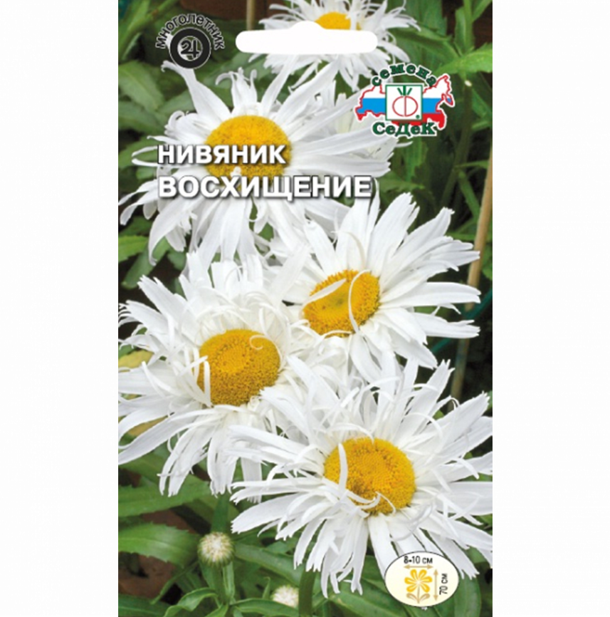 Нивяник Восхищение