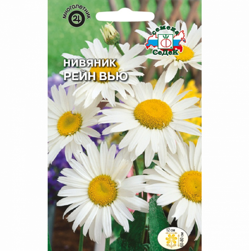Нивяник Рейн вью
