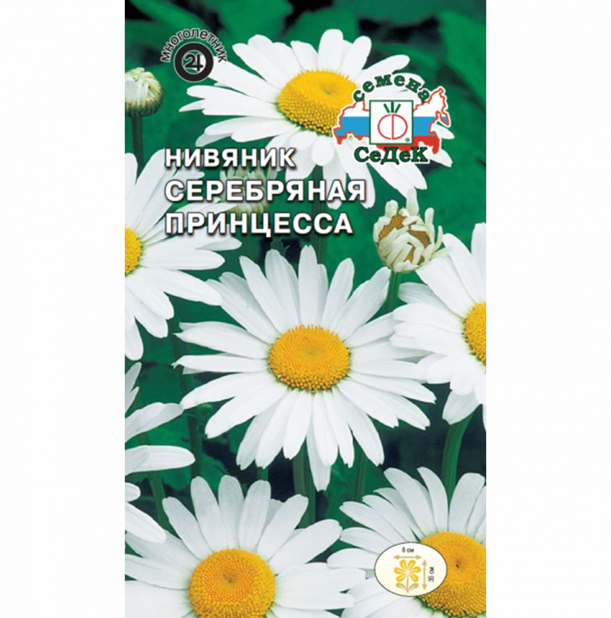 Нивяник Серебрянная принцесса
