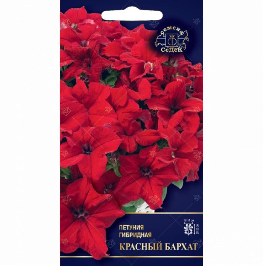 Петуния Красный Бархат F1