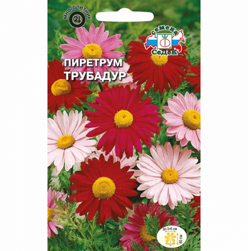 Пиретрум Трубадур