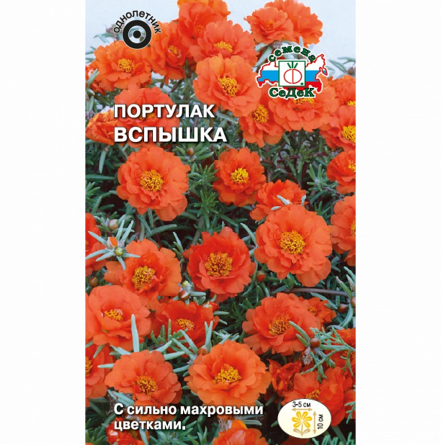 Портулак Вспышка