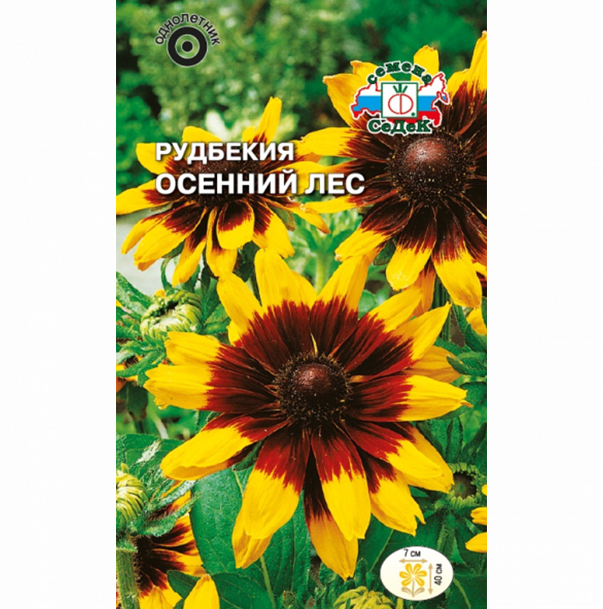 Рудбекия Осенний лес