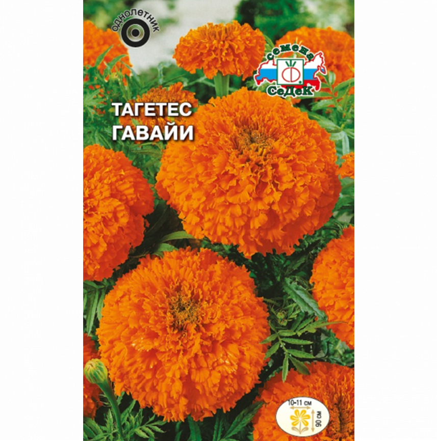 Тагетес Гавайи