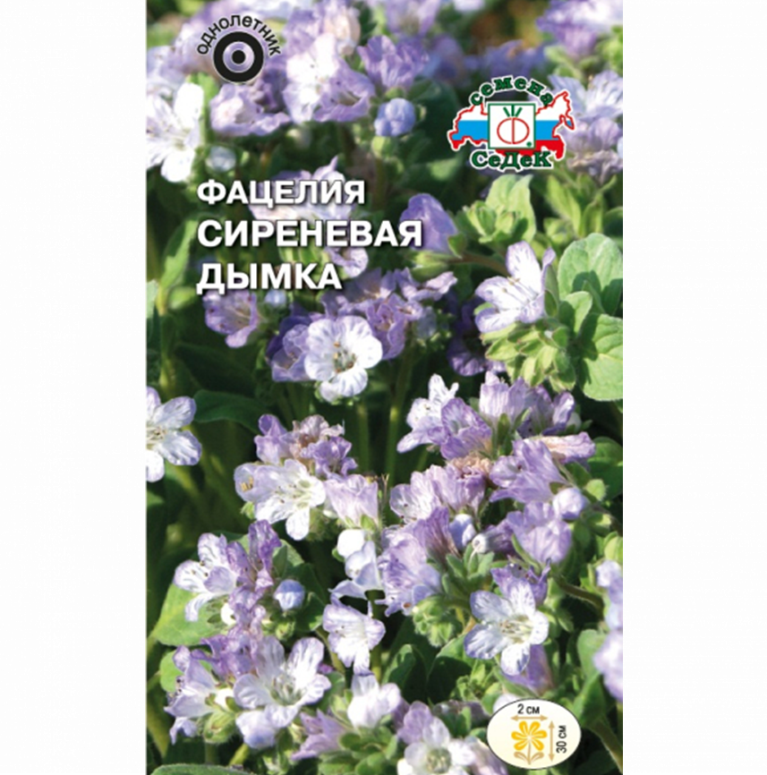 Фацелия Сиреневая дымка