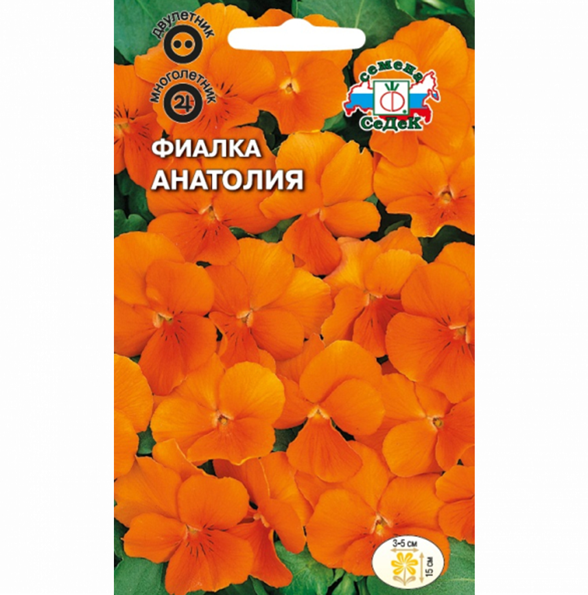 Фиалка Анатолия