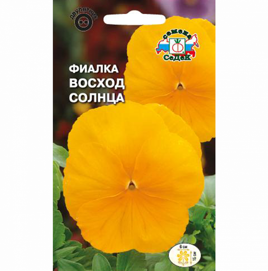 Фиалка Восход солнца