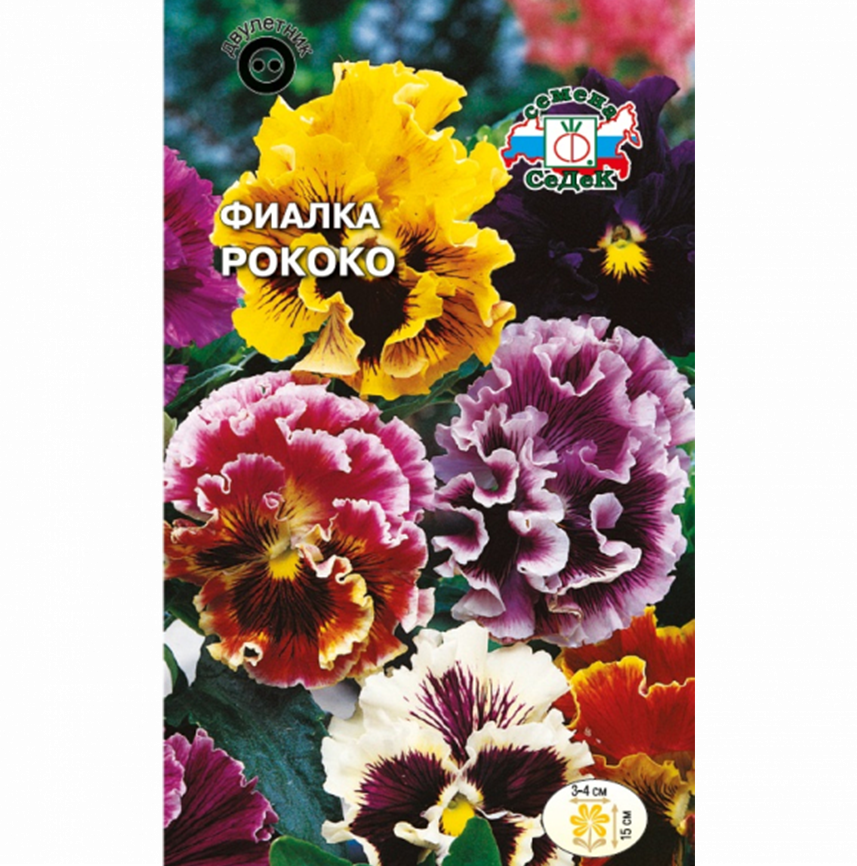 Фиалка Рококо
