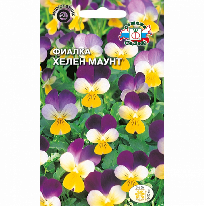 Фиалка Хелен маунт