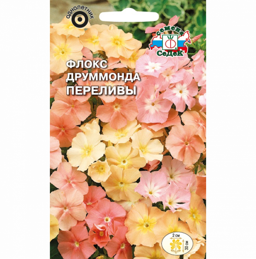 Флокс Друммонда Переливы