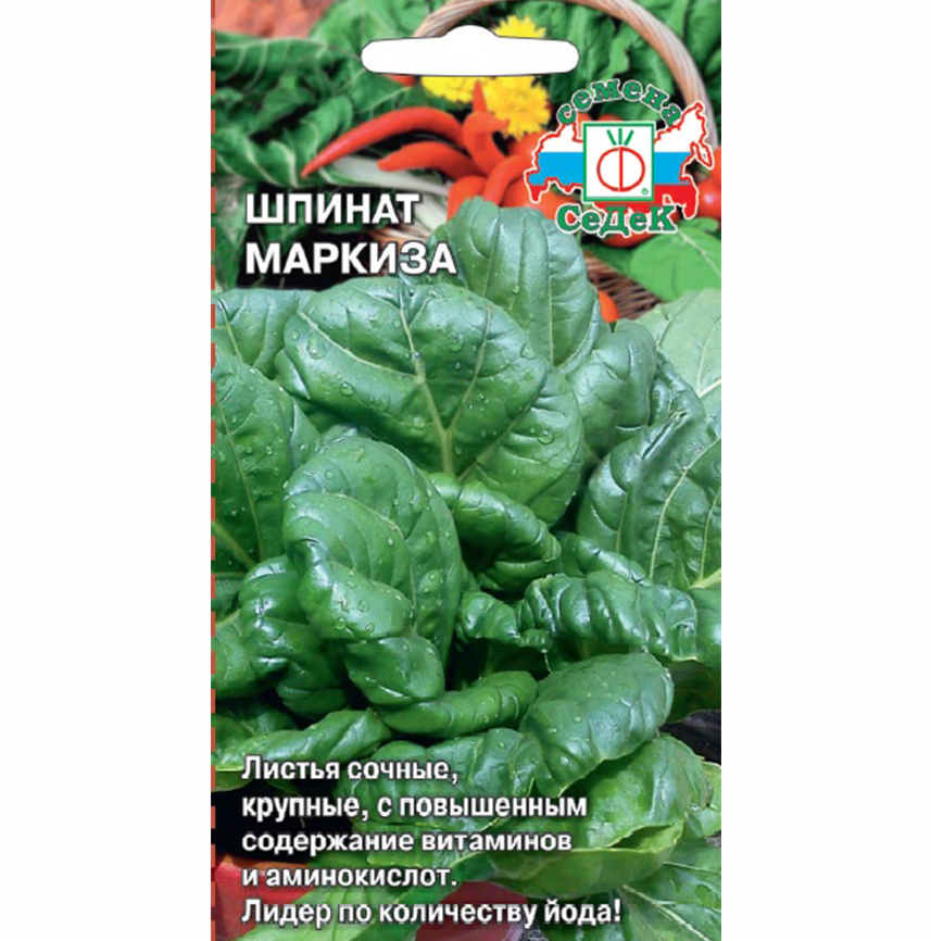Шпинат Маркиза