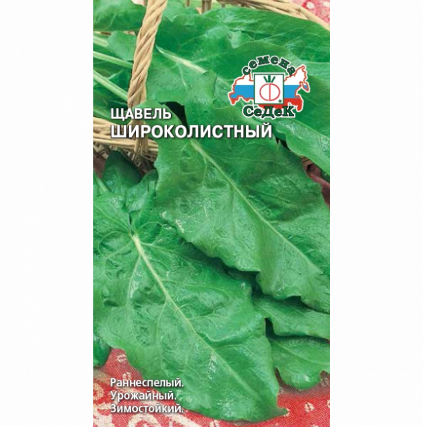 Щавель Широколистный