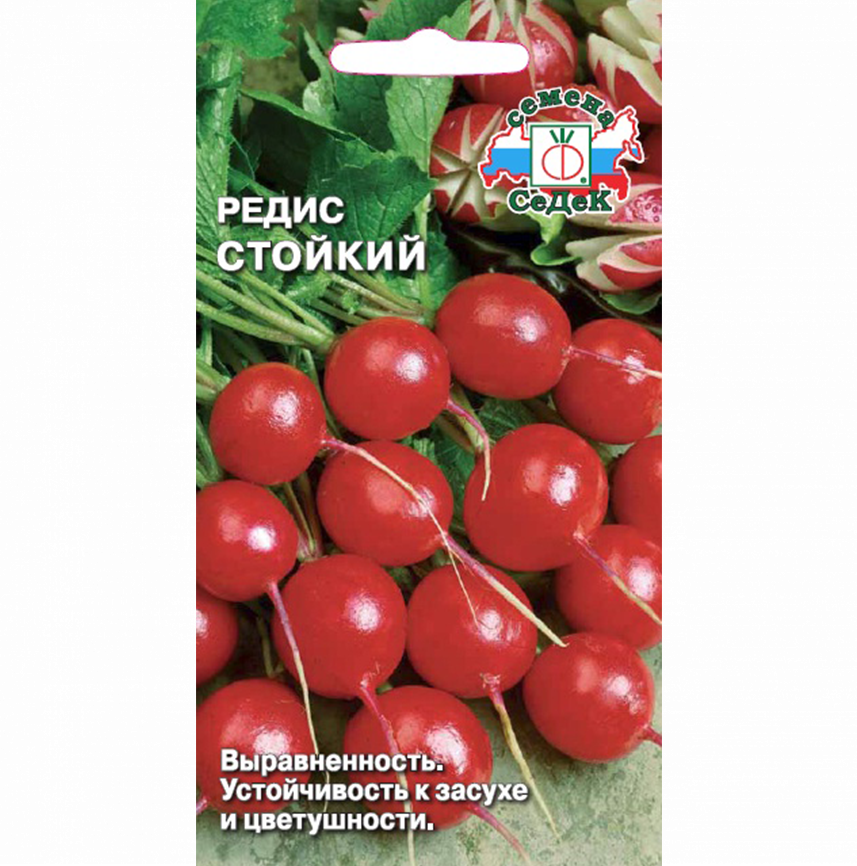 Редис Стойкий
