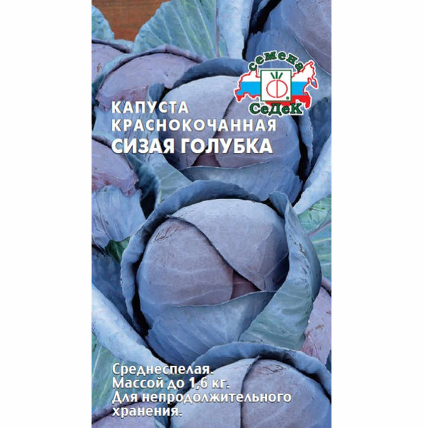 Капуста Сизая голубка