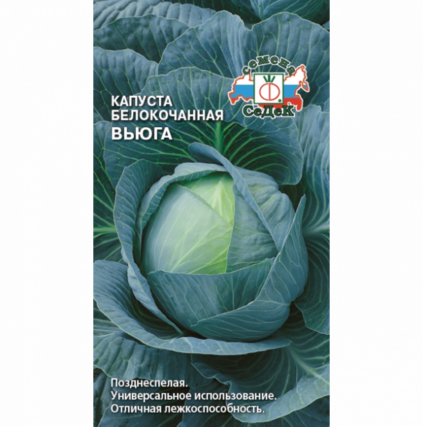 Капуста Вьюга