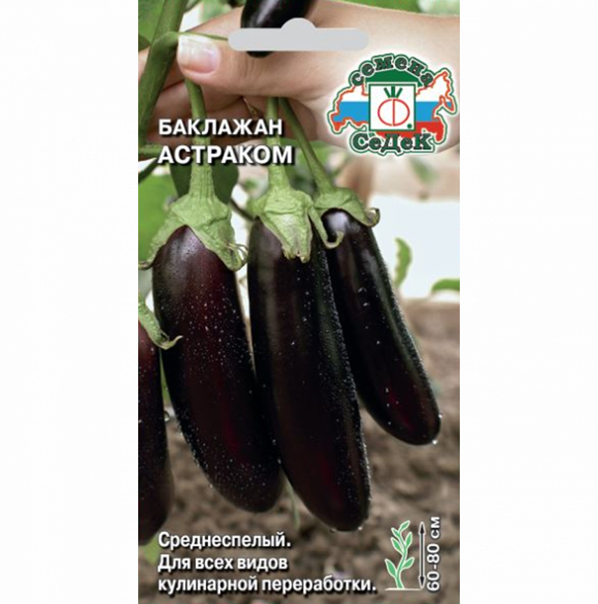 Баклажан Астраком