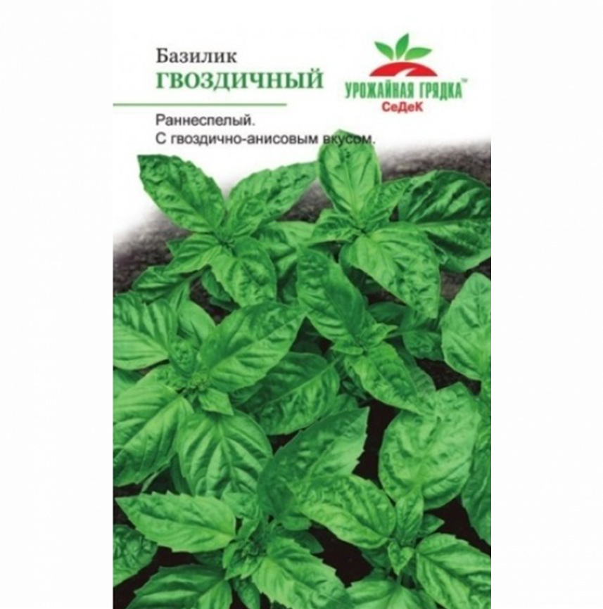 Базилик Гвоздичный