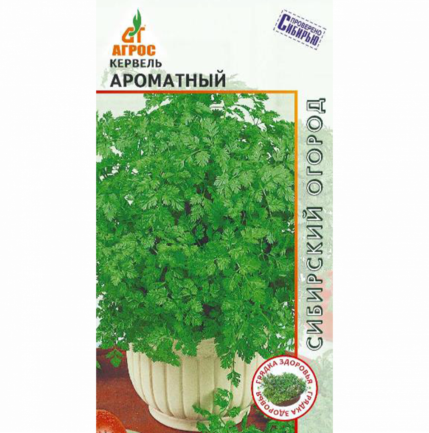 Кервель Ароматный