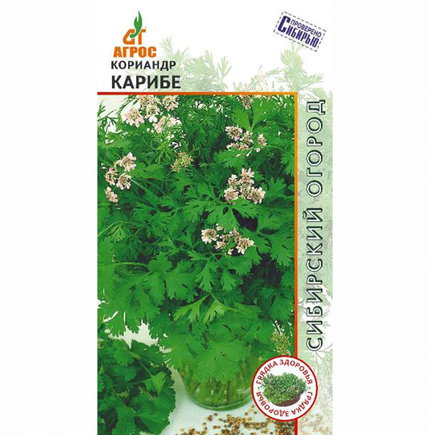 Кориандр Карибе