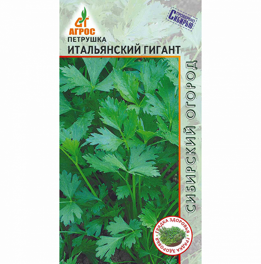 Петрушка Итальянский Гигант