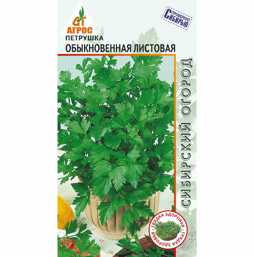 Петрушка Обыкновенная Листовая