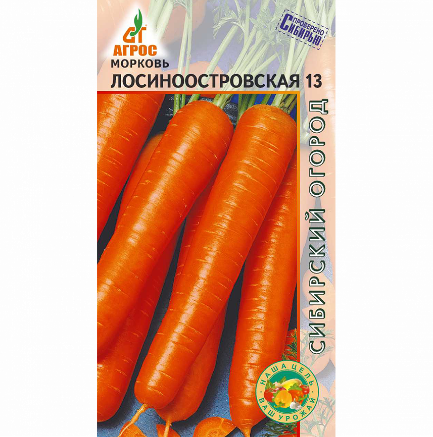Морковь Лосиноостровская 13