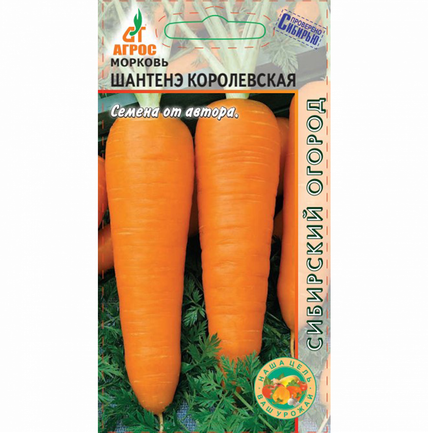 Морковь Шантенэ Королевская