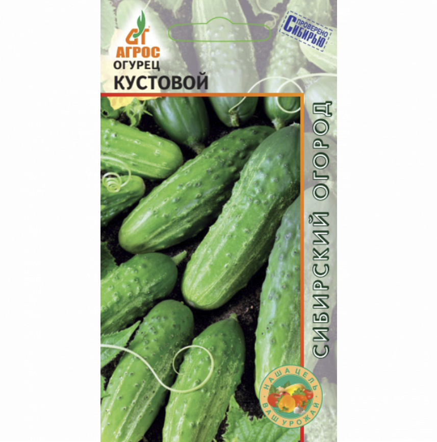 Огурец Кустовой
