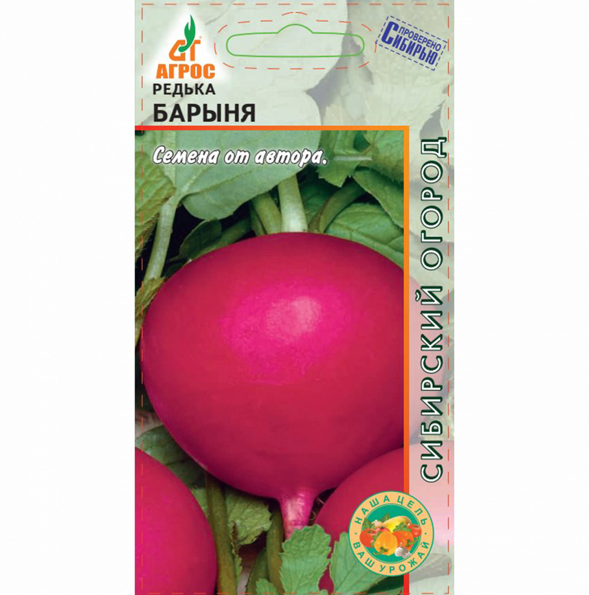Редька Барыня
