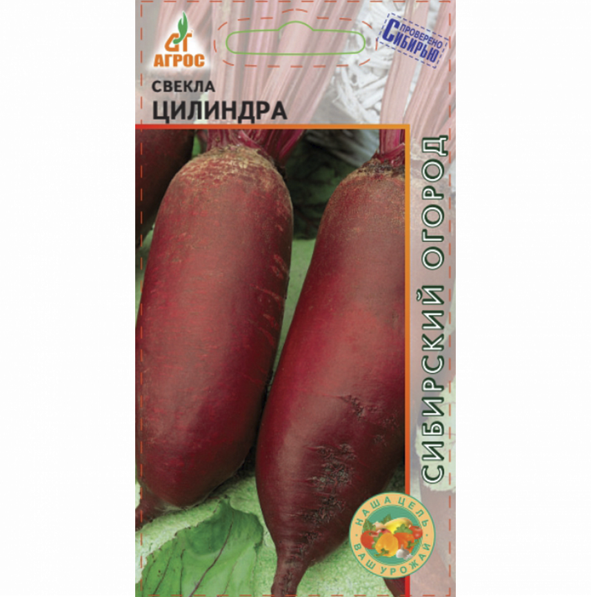Свекла Цилиндра