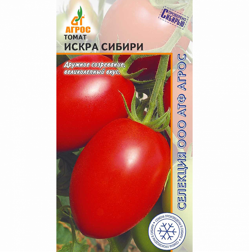 Томат Искра Сибири